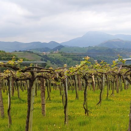 Hiking from Getaria to Zumaia