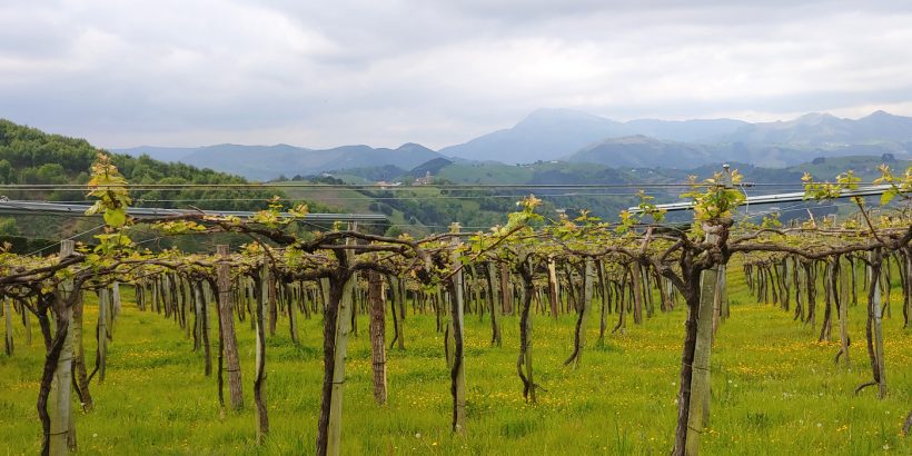 Hiking from Getaria to Zumaia