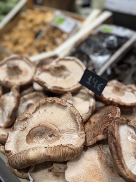 Wild mushrooms at a market in San Sebastian during spring